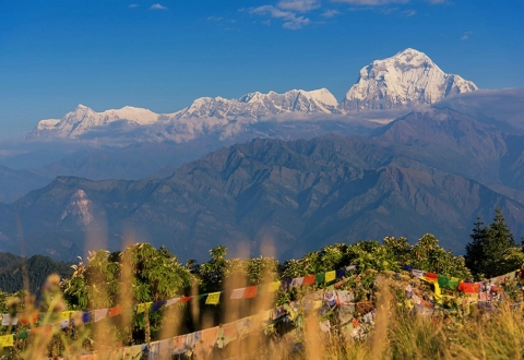 himalayan-local-guide-NHQwyfSp0I0-unsplash