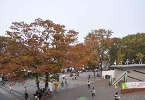 DSC_0886 - Seoul