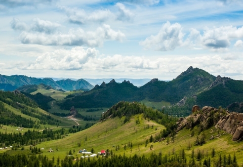 photo-1553267870-1cf593f504be