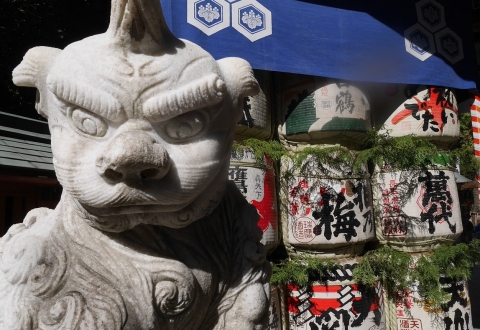 japan-724980_1280