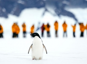 Antarctic Express1
