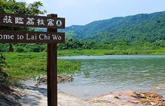 BLOG1F