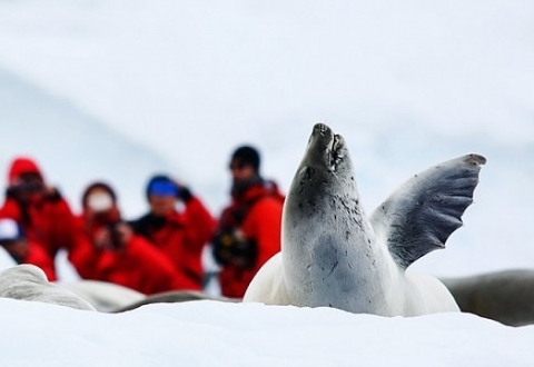 Christmas in Antarctica3