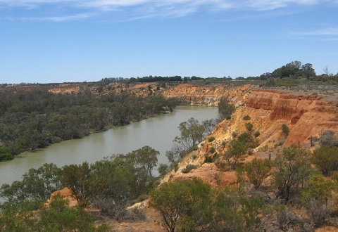 800px-Murray_River,_upstream_of_Headings_Cliffs,_South_Australia