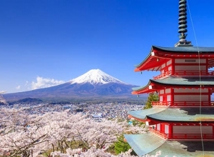 Norigian -881-Shimizu- 9