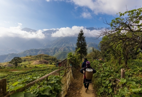 sapa 1