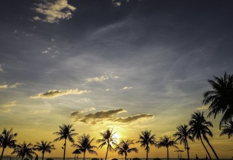sunset-4496026_1280