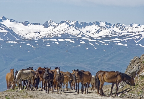 kyrgyzstan-4675649_1280