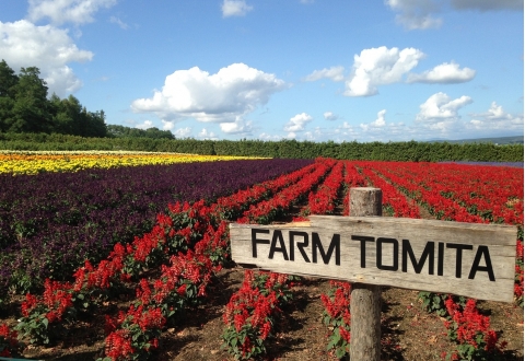 farm-1566163_1280