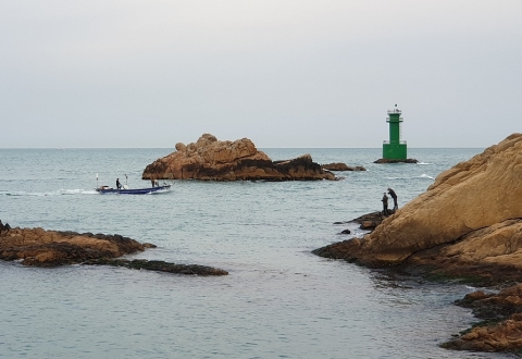 busan-5046149_1280