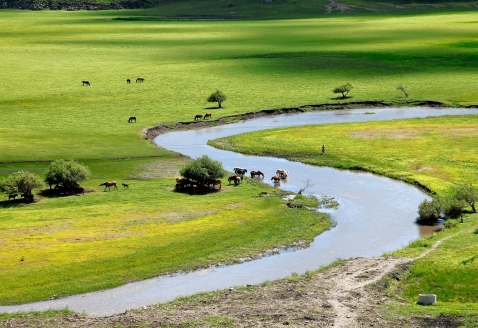 inner-mongolia-3628084_1280