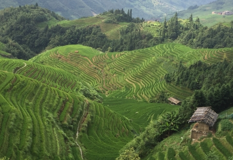 Longsheng 9-ES