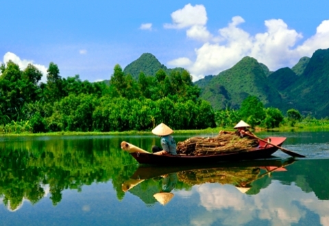 Viking Asia