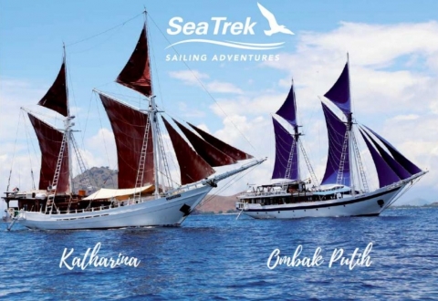 SEA TREK_SHIPS