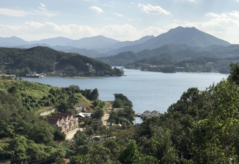 view from Petit France