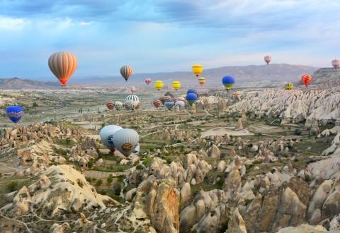 photo-1510253687831-0f982d7862fc