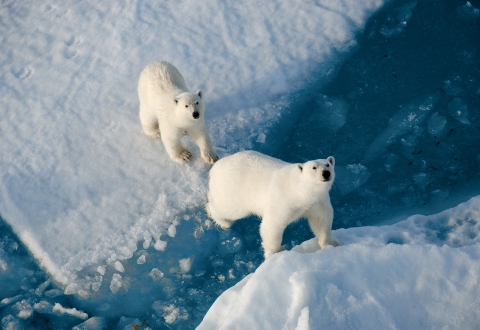 NORTH POLE_Image (32)