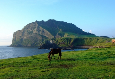 jeju-74956_1280