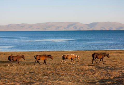SON-KUL LAKE_KRYGYSZTAN_daniele-nabissi-NDcjI_x2tZ0-unsplash
