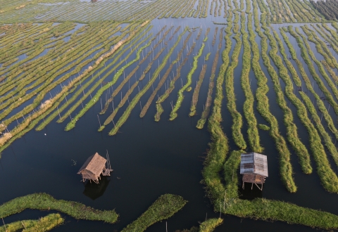 Myanmar (20) IL