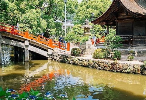 Royal Caribbean Fukuoka-japan-red-bridge-shrine