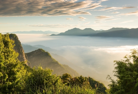 taiwan-alishan