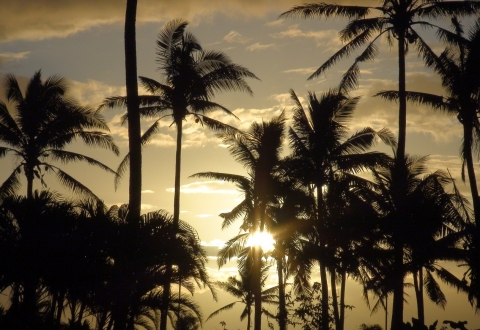 fiji-87061_1280