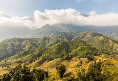 sapa 2