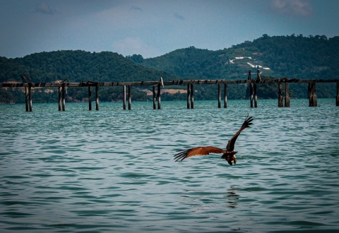 photo-1575397721733-c58fa48e80ff