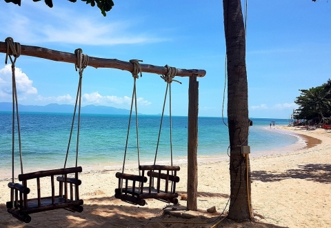 swing-4914296_1280