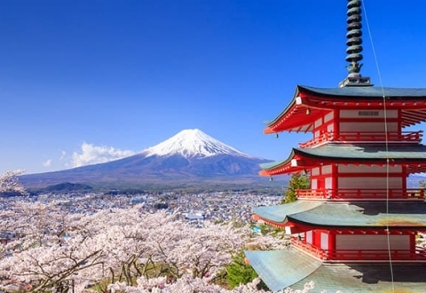 Norigian -881-Shimizu- 9